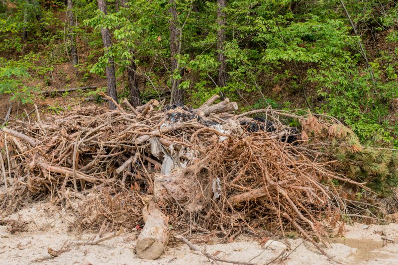 Brush Cleanup Service in Ventura County, CA