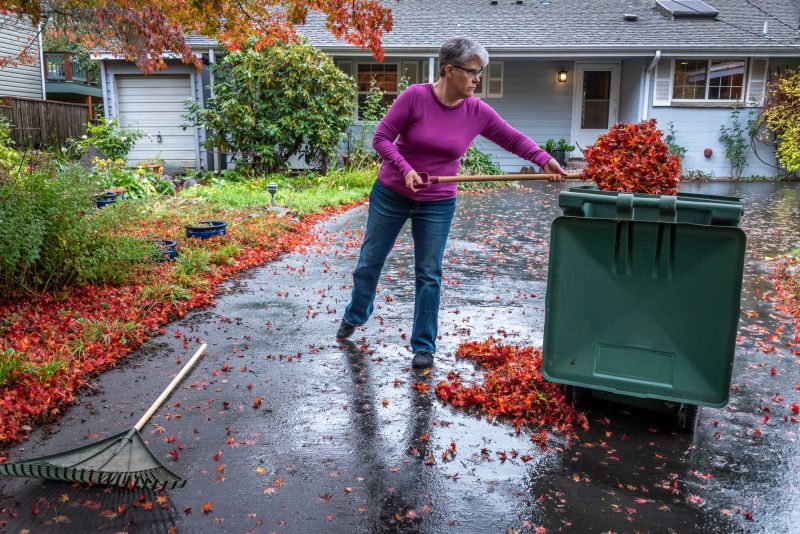 Mulching Leaves Effectively