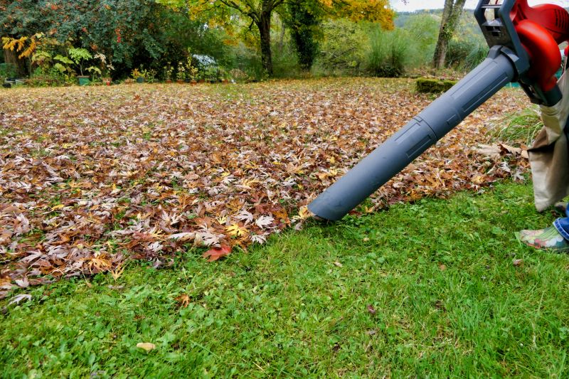 Fall Lawn Cleanup Service in Honolulu, HI