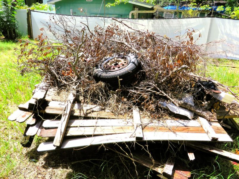 Lawn Debris Cleanup in Honolulu, HI