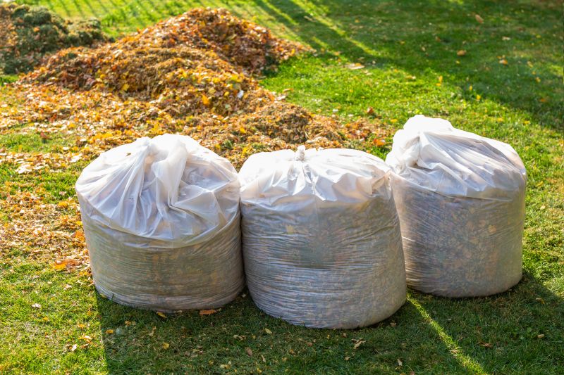 Leaf Cleanup Service in Ventura County, CA