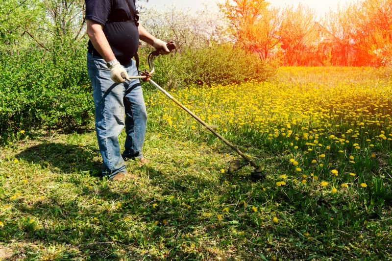 Seasonal Lawn Maintenance in Ventura County, CA