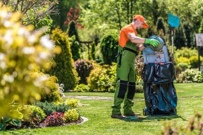 Seasonal Yard Maintenance Experts