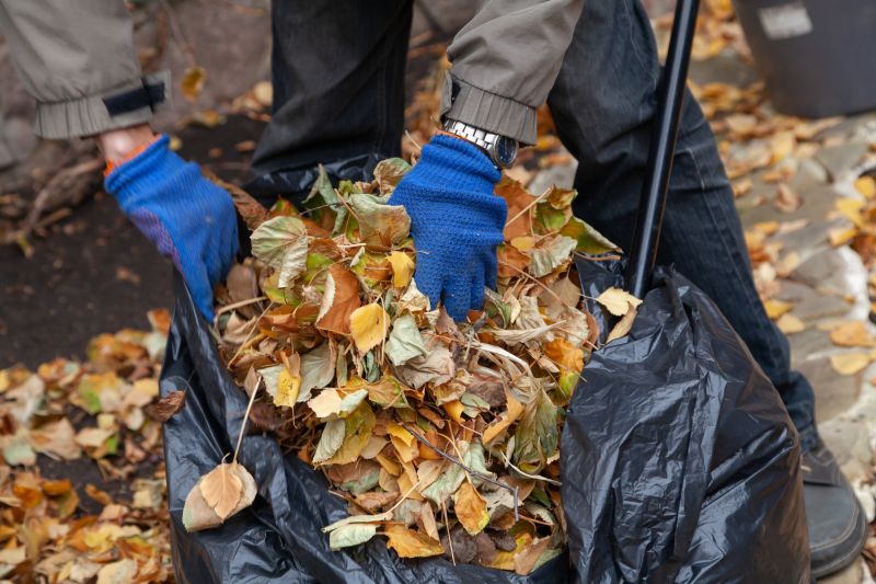 Proper Disposal of Leaves