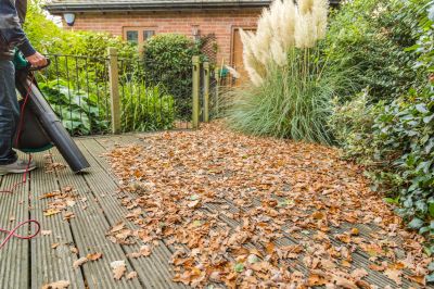 Get Efficient Leaf Removal!