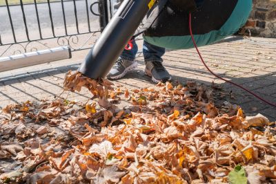 Improve Curb Appeal!