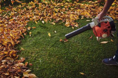 Keep Your Grass Healthy!