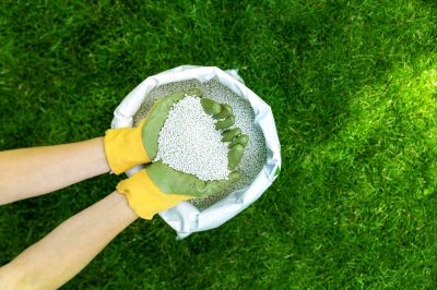 Fertilizing Your Grass!