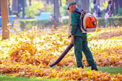 Leaf Blowing