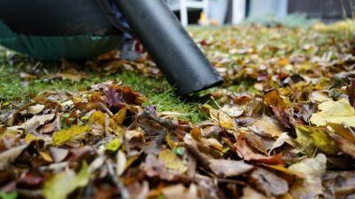Get Leaves Removed Safely and Efficiently!