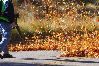 Remove Leaves from Pavement!
