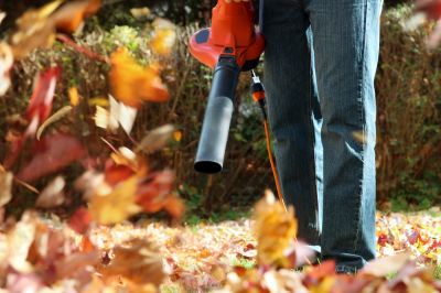 Remove Leaves from Your Home!