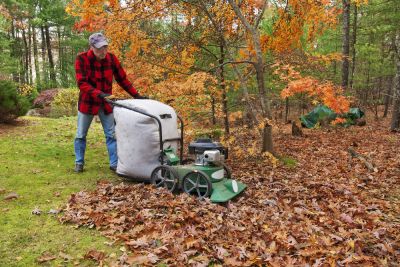 Leaf Vacuuming